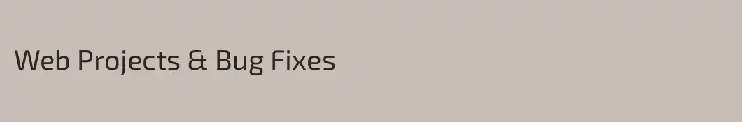 Web Projects & Bug Fixes
